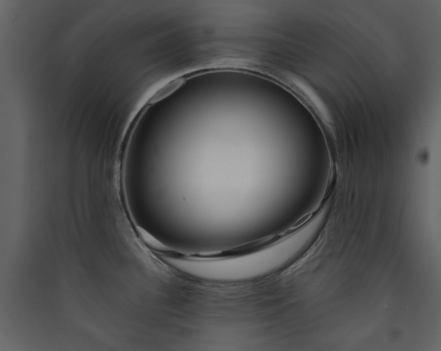 X0000089911340200707131342