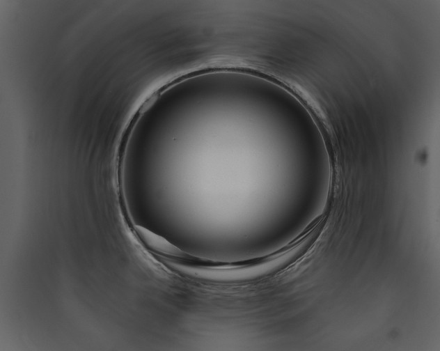 X0000089911342200707131342