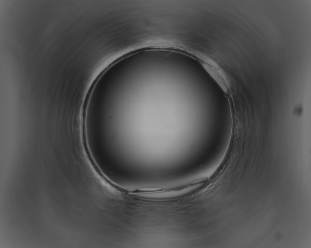 X0000089911343200707131342