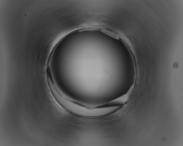 X0000089911344200707131342