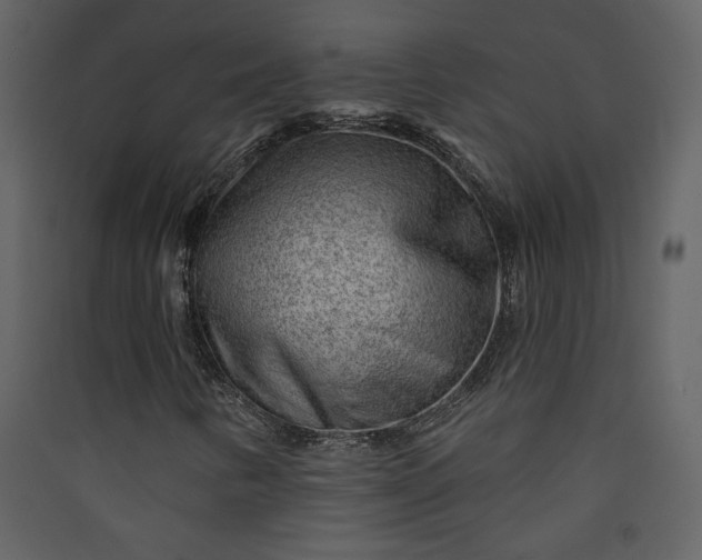 X0000089911346200707131341