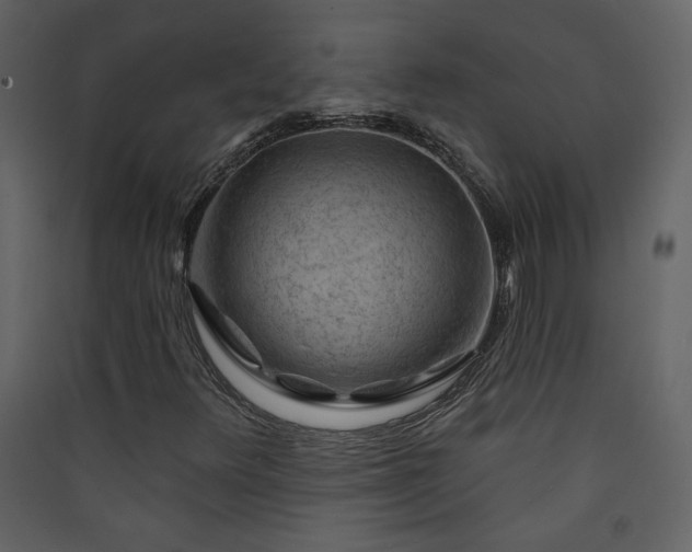 X0000089911348200707131341