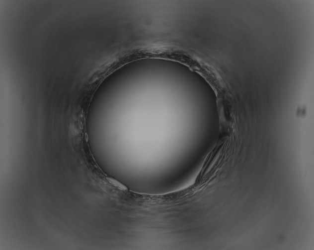X0000089911349200707131341