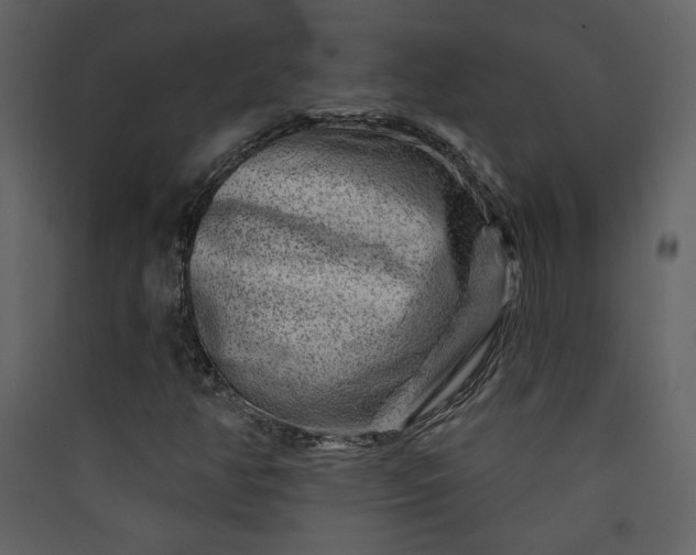 X0000089911350200707131341