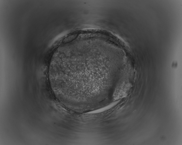 X0000089911351200707131341