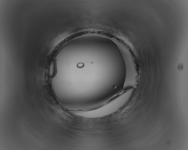 X0000089911352200707131341