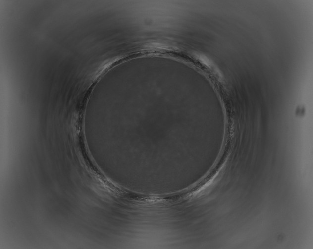 X0000089911353200707131341