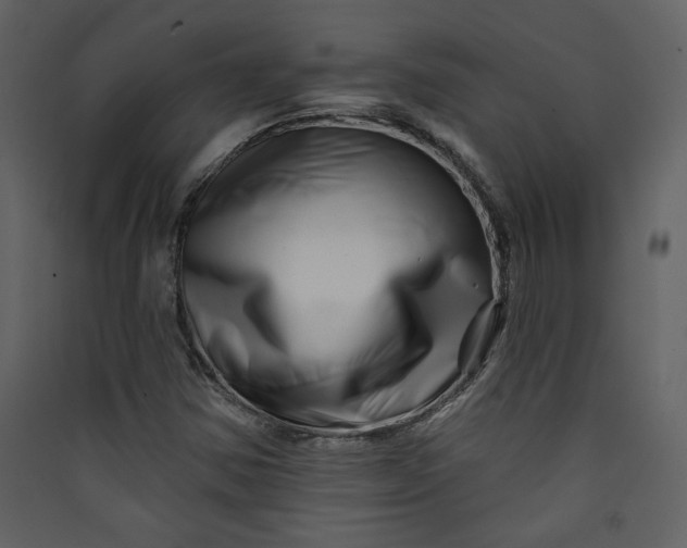 X0000089911354200707131341