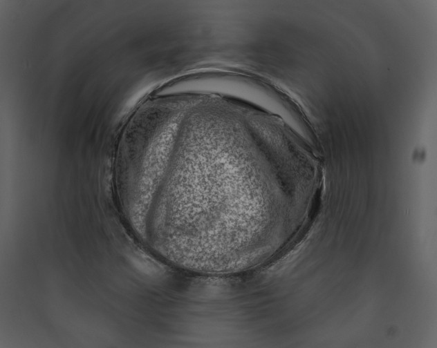 X0000089911355200707131341