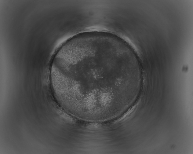 X0000089911358200707131341