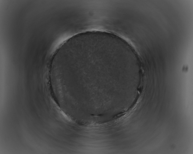 X0000089911359200707131341