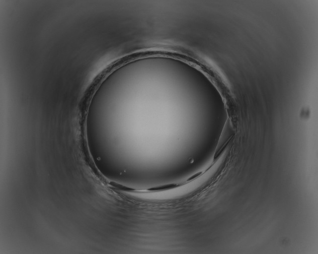 X0000089911360200707131341