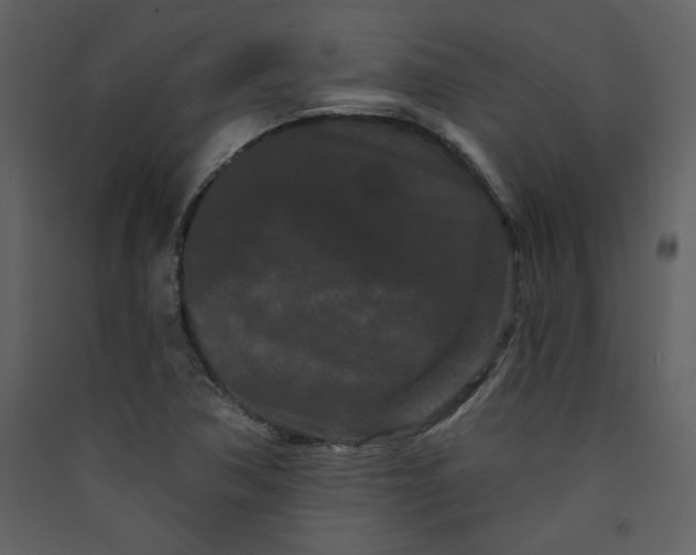 X0000089911362200707131341