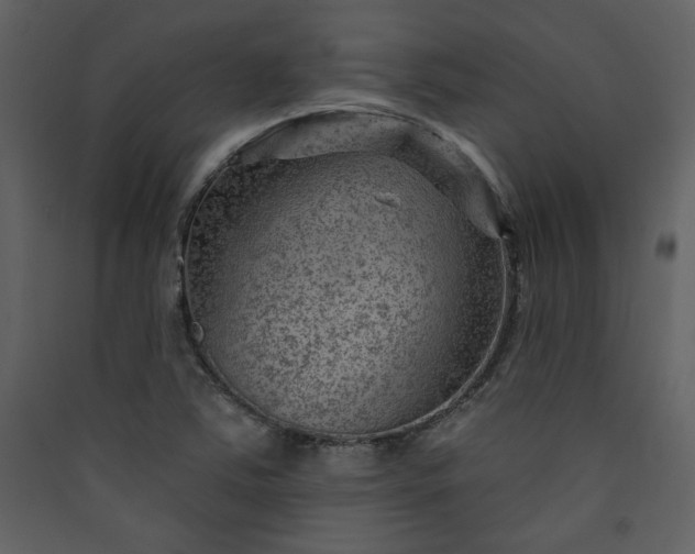 X0000089911363200707131341