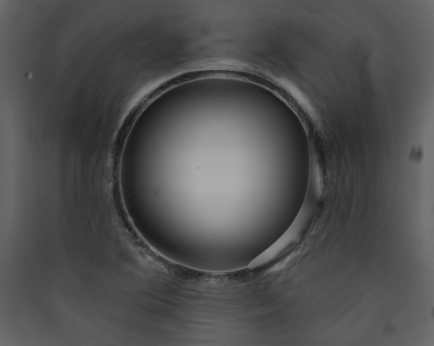 X0000089911364200707131341