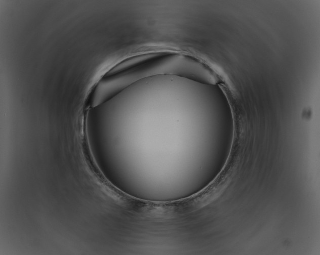 X0000089911365200707131341
