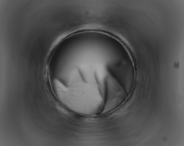 X0000089911366200707131341