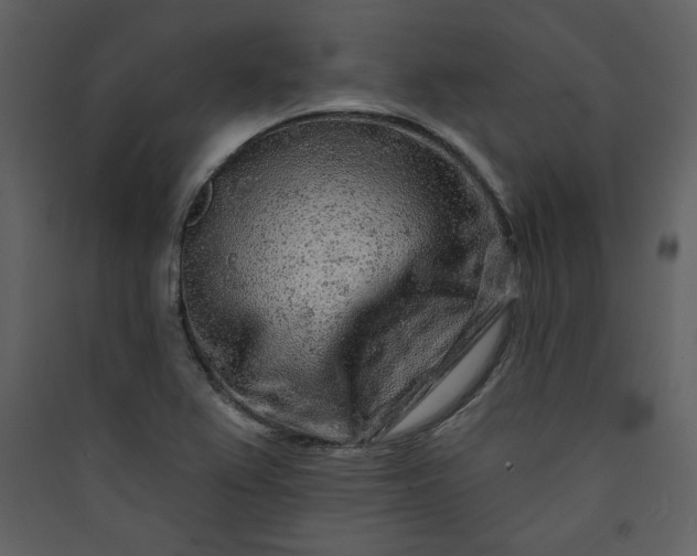 X0000089911367200707131341