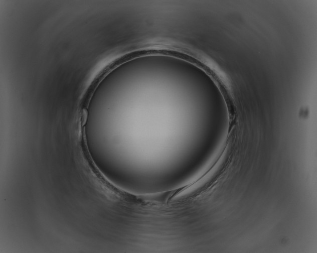 X0000089911368200707131341