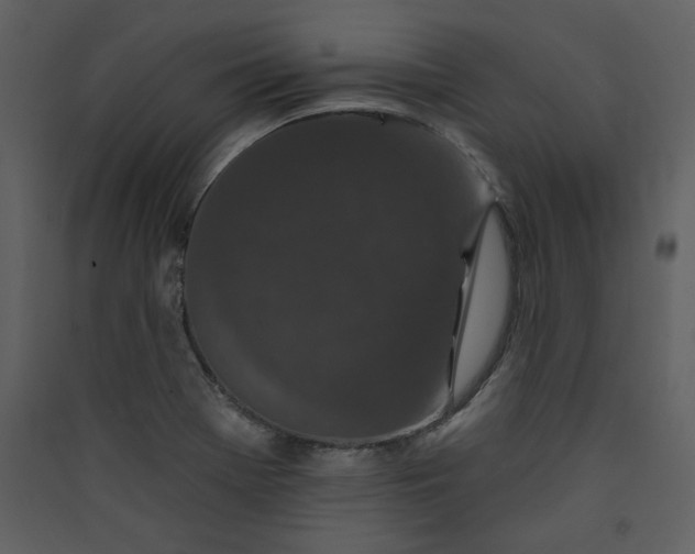 X0000089911369200707131341
