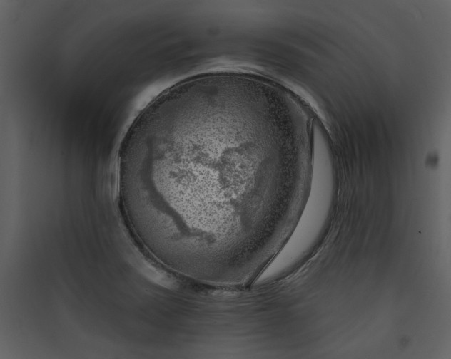 X0000089911371200707131341