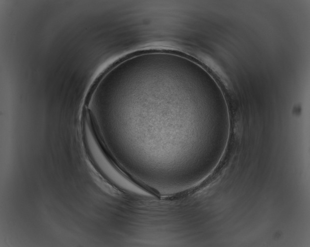 X0000089911372200707131341