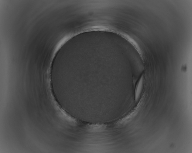X0000089911373200707131341