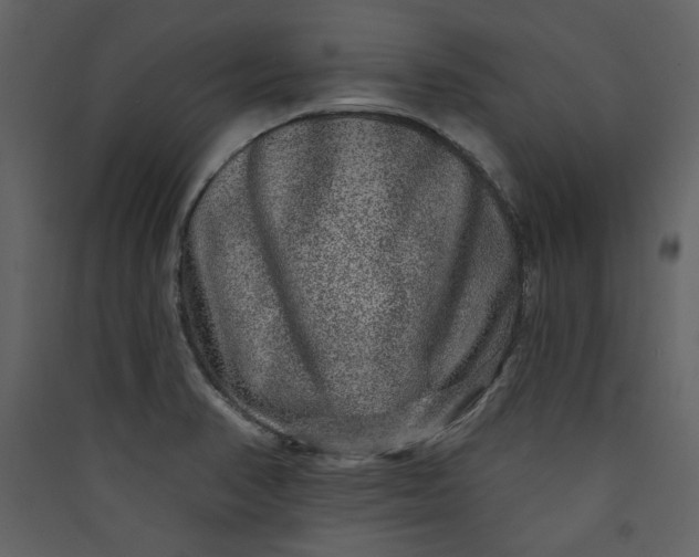 X0000089911374200707131341