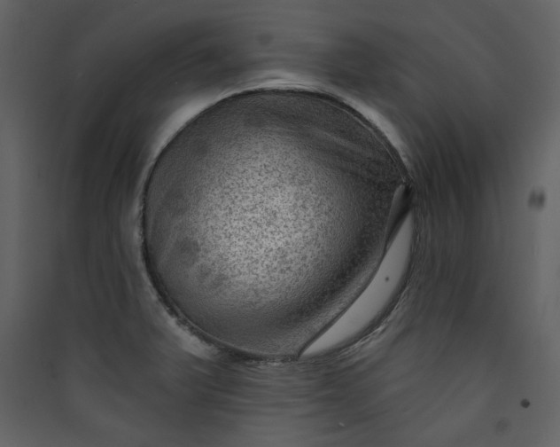 X0000089911375200707131341