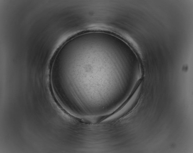 X0000089911376200707131341