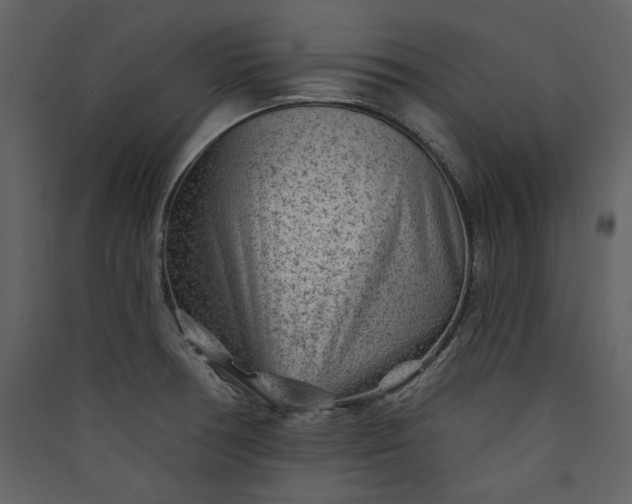 X0000089911378200707131341
