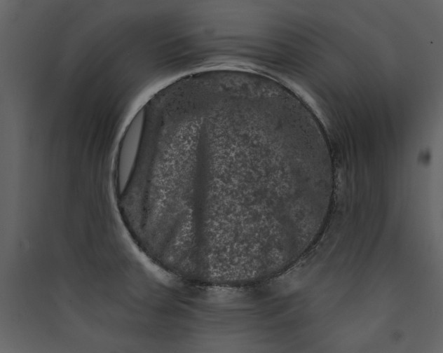 X0000089911379200707131341