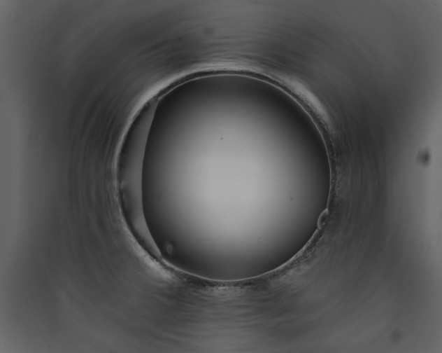 X0000089911380200707131341