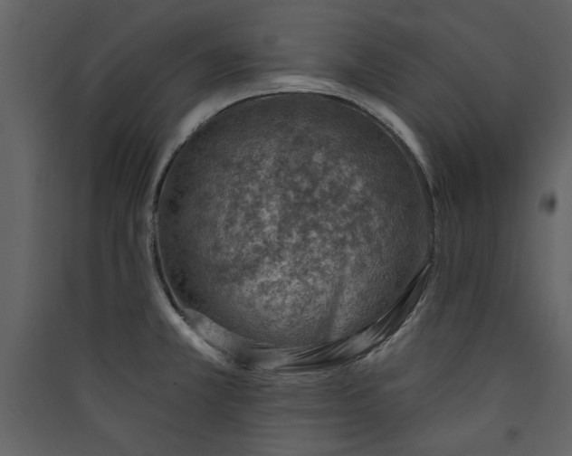 X0000089911381200707131341