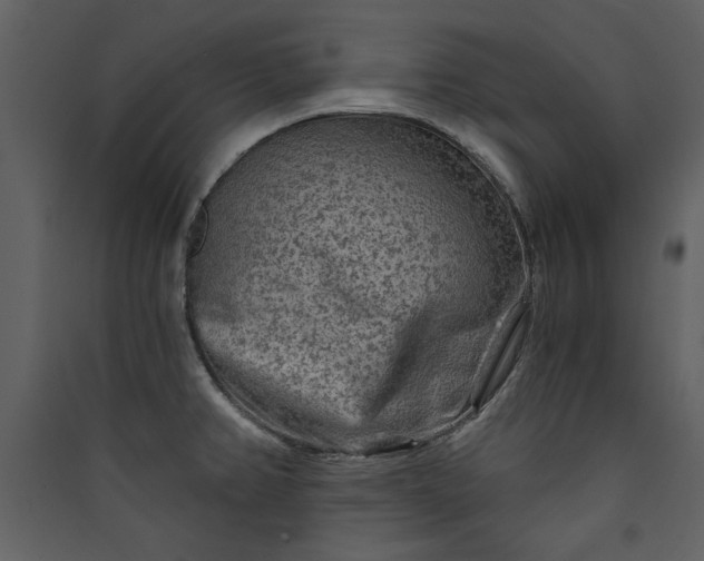 X0000089911382200707131340