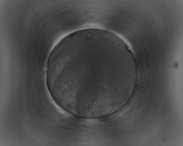 X0000089911383200707131340