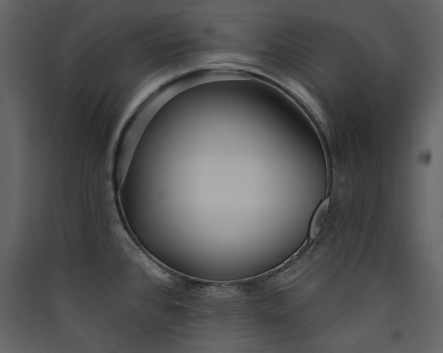 X0000089911384200707131340