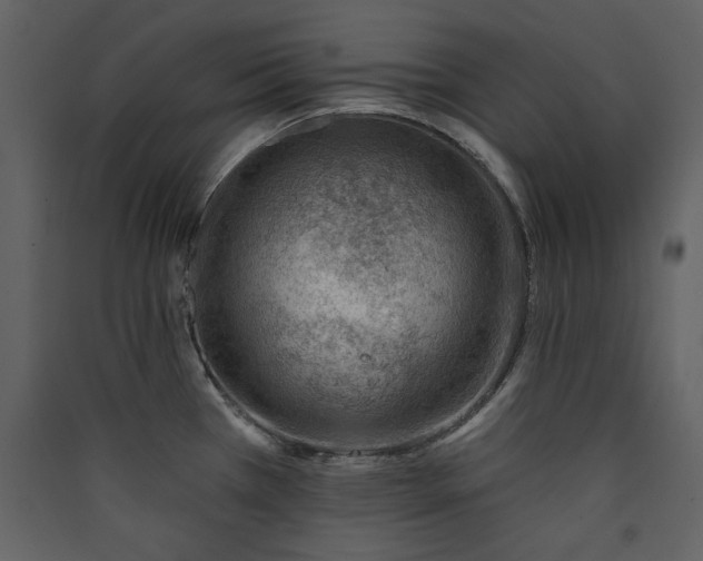 X0000089911385200707131340