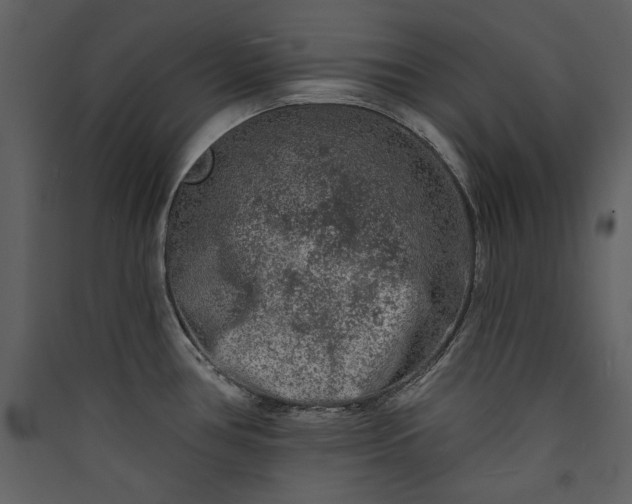 X0000089911386200707131340