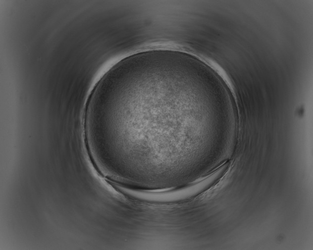 X0000089911389200707131340