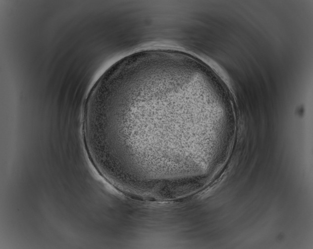 X0000089911390200707131340