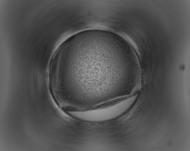 X0000089911391200707131340