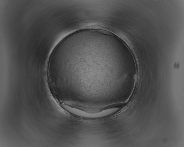 X0000089911392200707131340