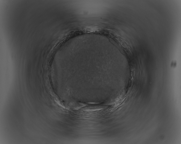 X0000089911393200707131340