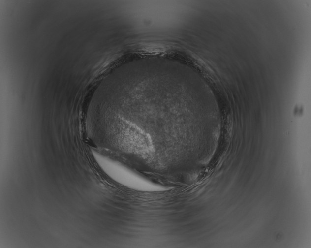 X0000089911394200707131340