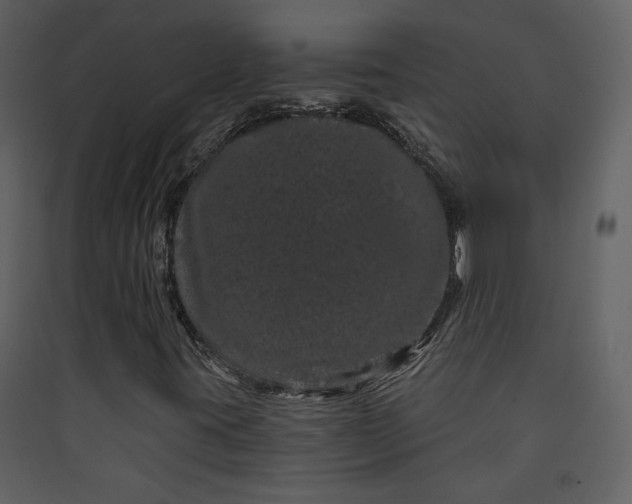 X0000089911395200707131340