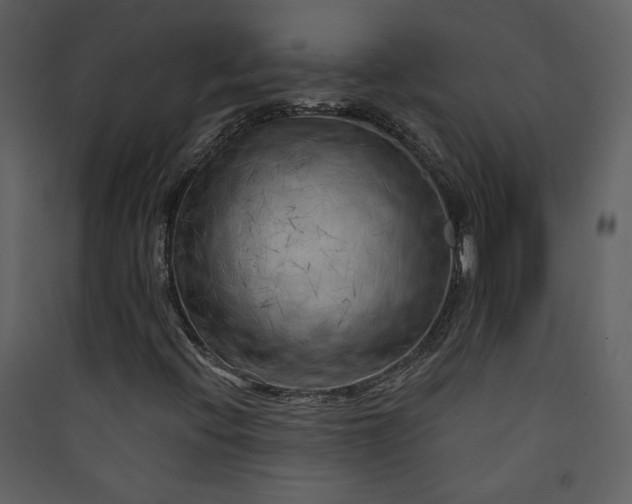 X0000089911396200707131340