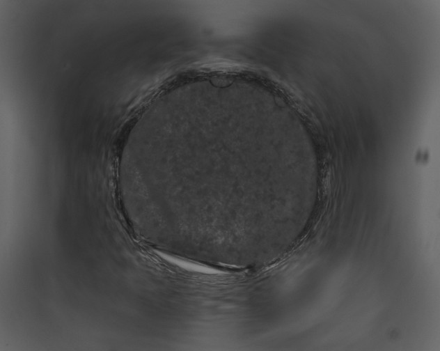 X0000089911397200707131340