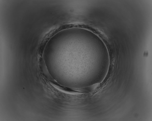 X0000089911398200707131340