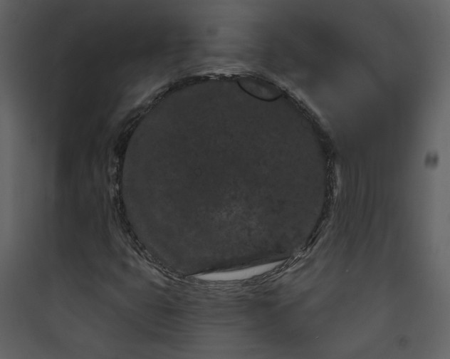 X0000089911399200707131340